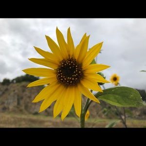 Meet your Posher, Anju